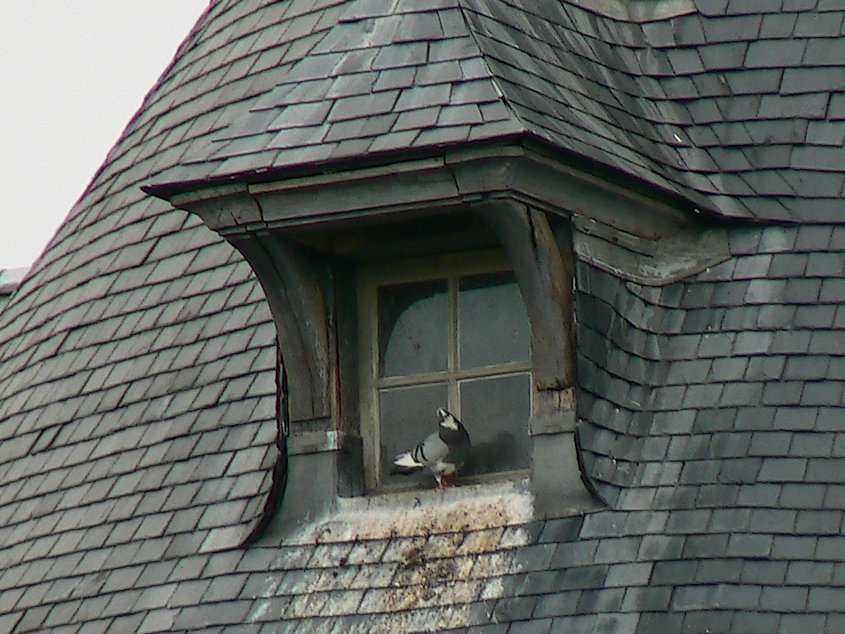 Le Donjon de Ste Genevieve-des-Bois: Le Donjon 081